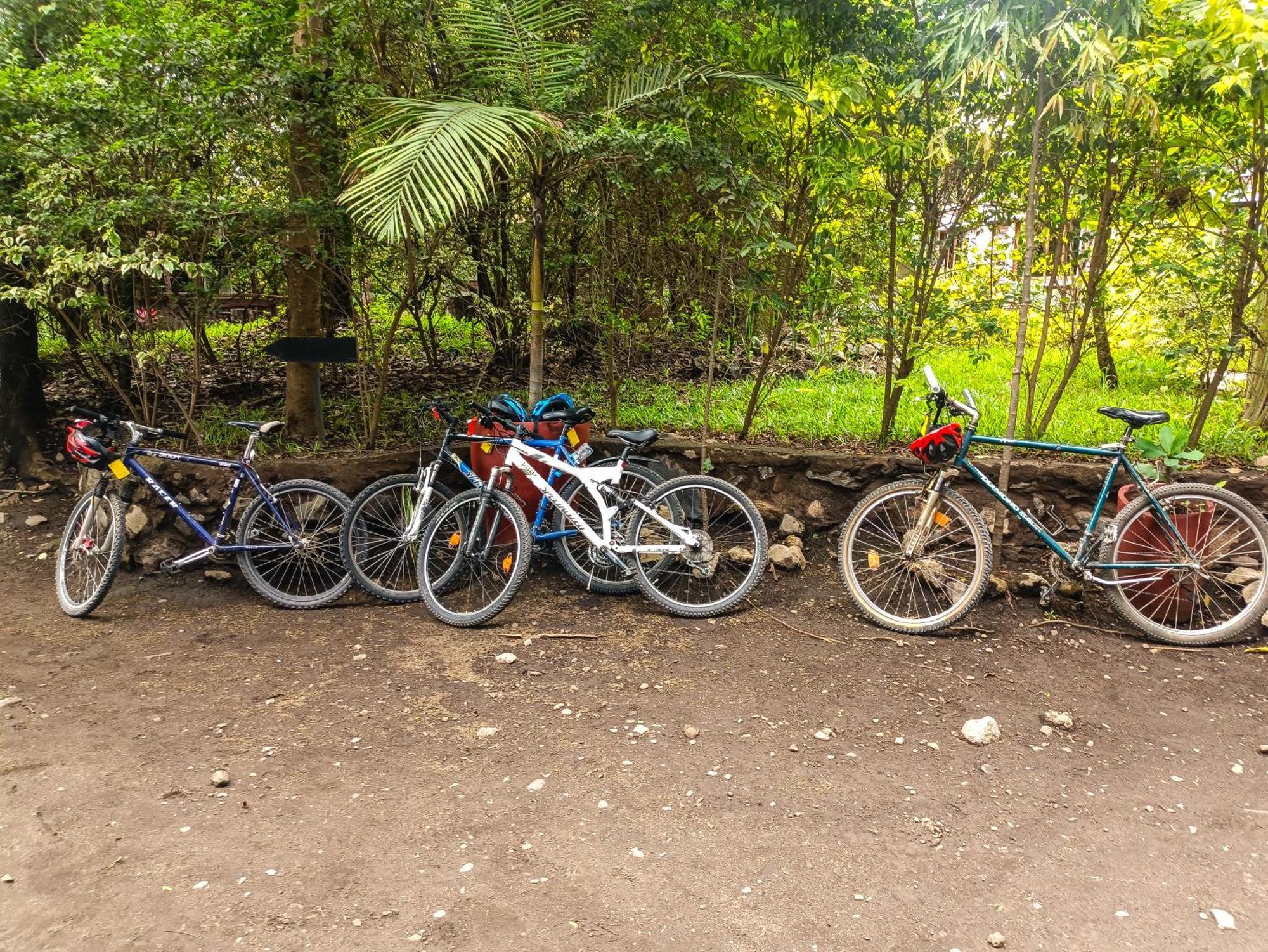 Shamba Hostel Usa River Buitenkant foto