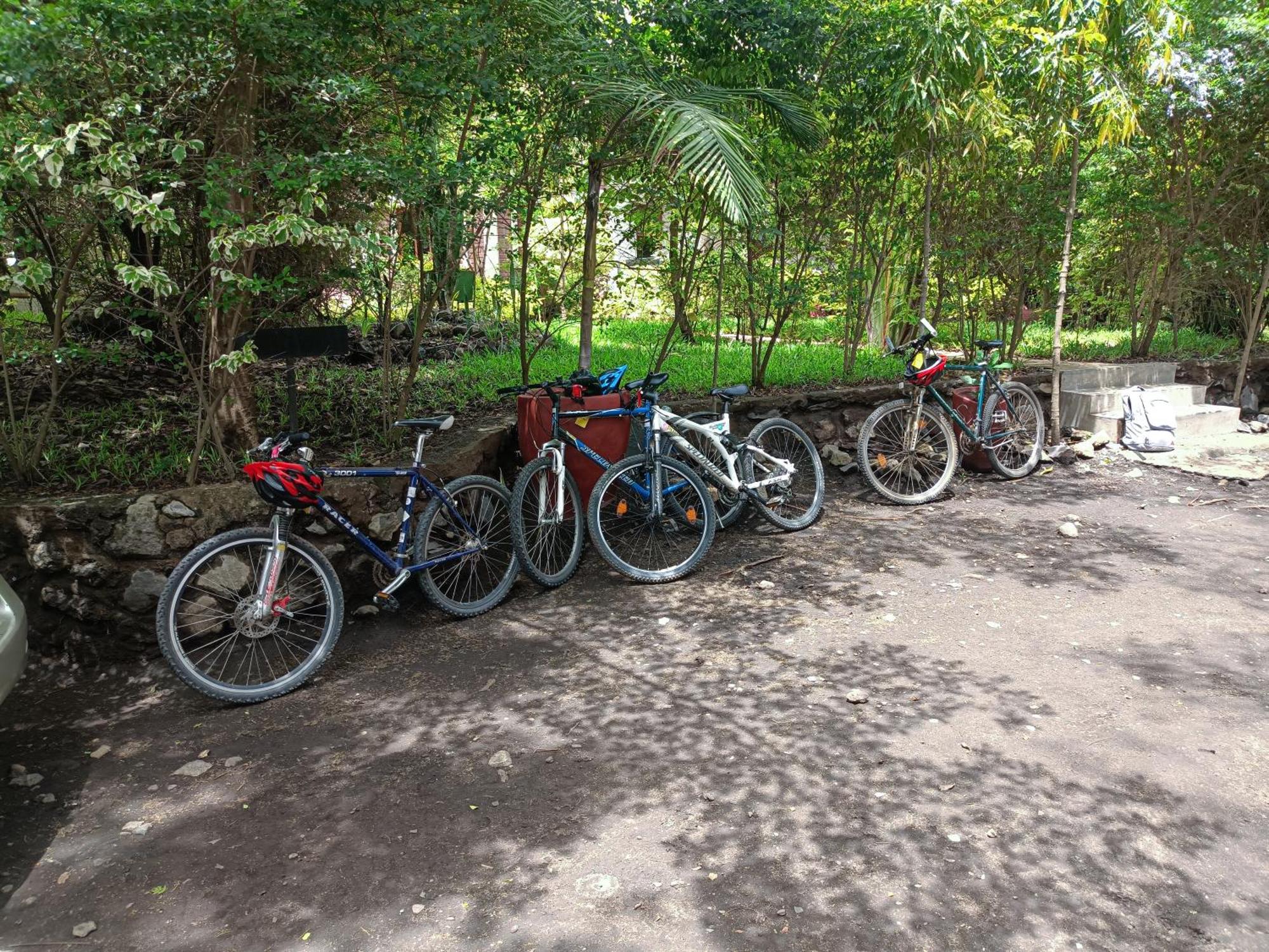 Shamba Hostel Usa River Buitenkant foto