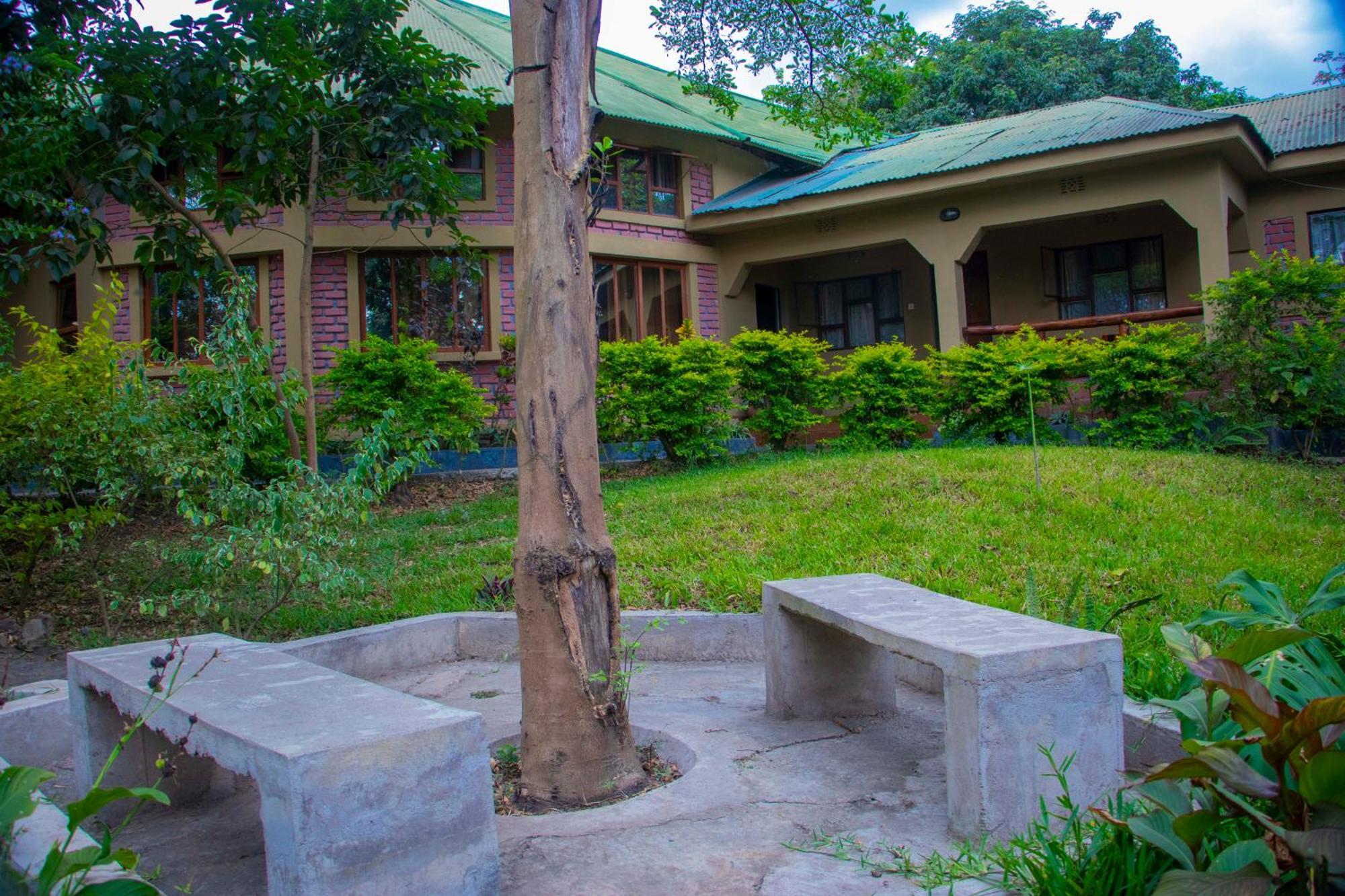 Shamba Hostel Usa River Buitenkant foto