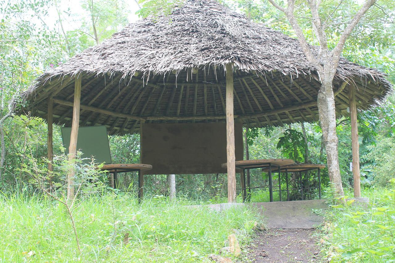 Shamba Hostel Usa River Buitenkant foto