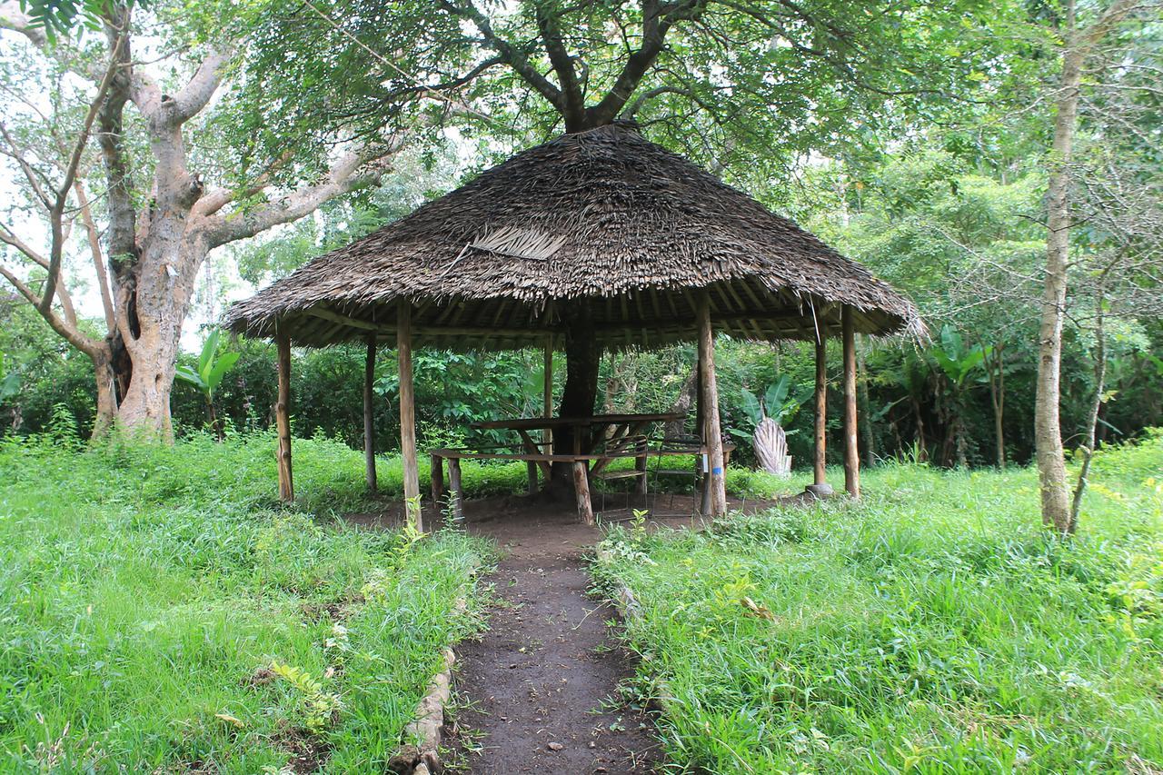 Shamba Hostel Usa River Buitenkant foto