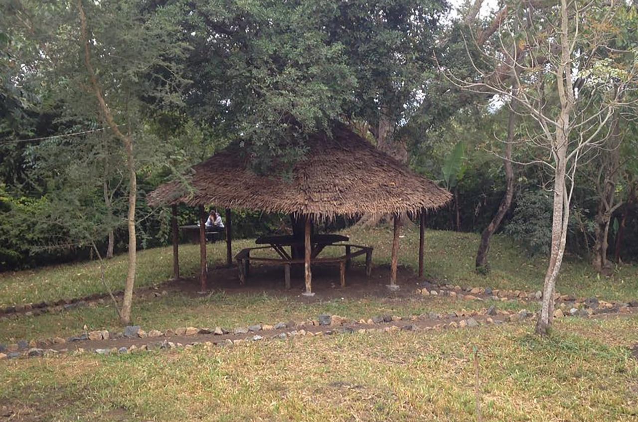 Shamba Hostel Usa River Buitenkant foto